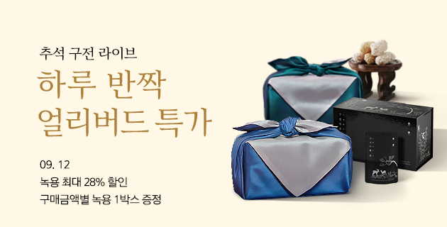 하루 반짝 얼리버드 특가